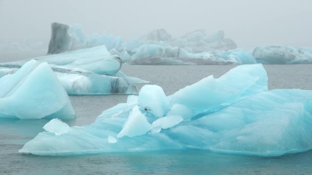 Blå Isberg Foggy Glacier Lagoon Ren Isländsk Natur Vackra Naturliga — Stockvideo
