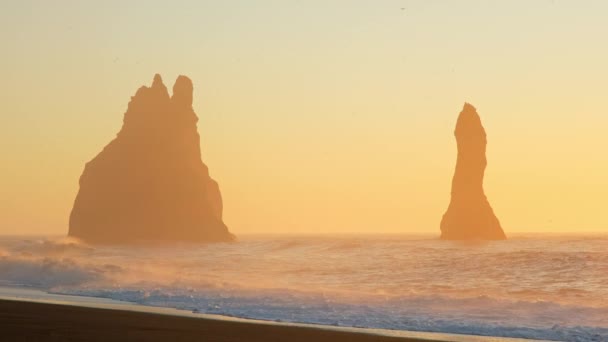 Vik Famous Black Sand Beach Στην Ισλανδία Sunset Volcanic Cliffside — Αρχείο Βίντεο