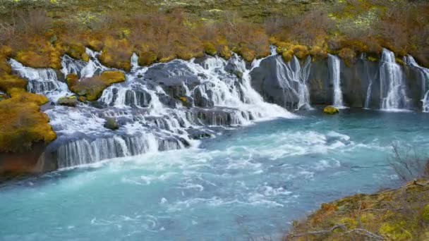 Krásný Přírodní Vodopád Islandu Čistá Tyrkysová Voda Horské Řece Zastřelen — Stock video