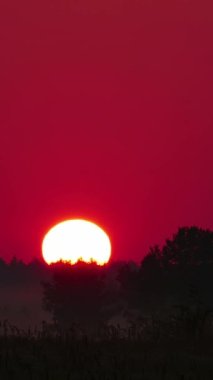 Vertical Screen: Sunset or Sunrise in the Yellow Sky. Big Bright Sun Moves in Sky. Awesome Time Lapse Landscape of Sky and Clouds with Amazing Colours. Vibrant Warm Color. Shot for Social Media.