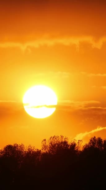 垂直画面 黄色の空の日没または日の出 大きな明るい太陽が空を移動します 素晴らしい色で空と雲の素晴らしいタイムラプスの風景 鮮やかな暖色系 ソーシャルメディアのためのショット — ストック動画
