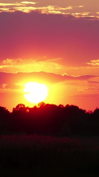 Vertical Screen Sunset Sunrise Yellow Sky Big Bright Sun Moves — Vídeos de Stock