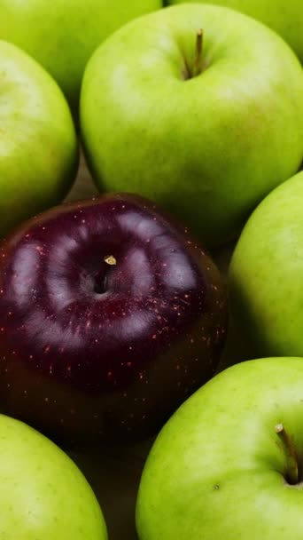 Vertical Screen Fresh Green Apples Grocery Store Supermarket Marketplace Nutritious — Vídeo de Stock