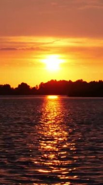 Vertical Screen: Sunset or Sunrise in the Yellow Sky. Big Bright Sun Moves in Sky. Awesome Time Lapse Landscape of Sky and Clouds with Amazing Colours. Vibrant Warm Color. Shot for Social Media.