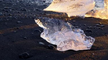 Ice Chunks On Black Volcanic Beach in Iceland Nature. High quality 4k footage