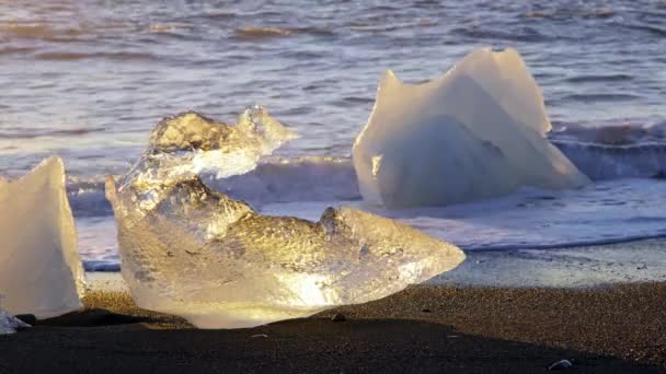 Ice Chunks Black Volcanic Beach Iceland Nature High Quality Footage — Stockvideo
