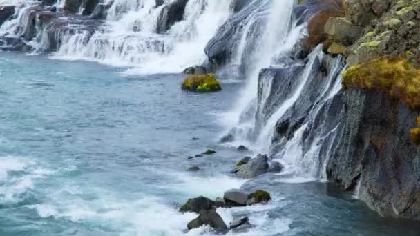 Höstvattenfall Island Rent Turkost Vatten Mountain River Populär Turist Plats — Stockvideo