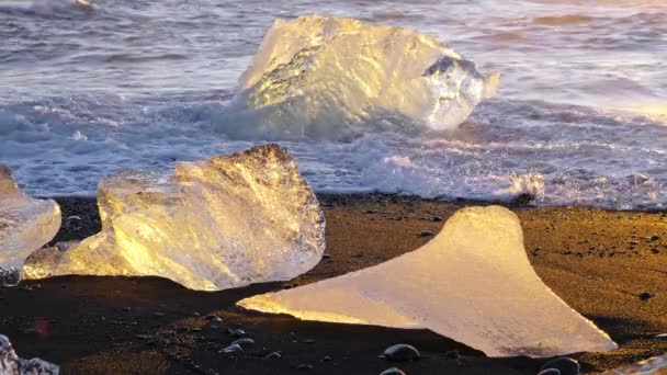 Ice Chunks Black Volcanic Beach Iceland Nature High Quality Footage — Stockvideo