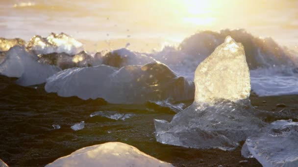 Ice Chunks Black Volcanic Beach Iceland Nature High Quality Footage — 비디오
