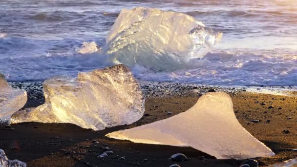 Ice Chunks Black Volcanic Beach Iceland Nature High Quality Footage — Wideo stockowe