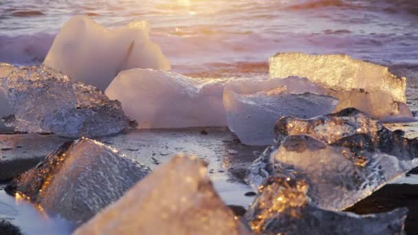 Famous Diamond Beach Iceland Icebergs Shining Black Volcanic Sand Sunset — стоковое видео