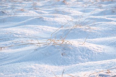 Winter snow. Snow texture Top view of the snow. Texture for design. Snowy white texture. Snowflakes. High quality photo
