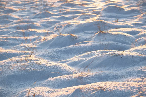 Winter snow. Snow texture Top view of the snow. Texture for design. Snowy white texture. Snowflakes. High quality photo