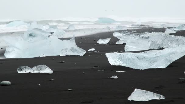 Iceberg Foggy Glacier Lagoon Nature Iceland Beautiful Natural Miracle North — Stockvideo