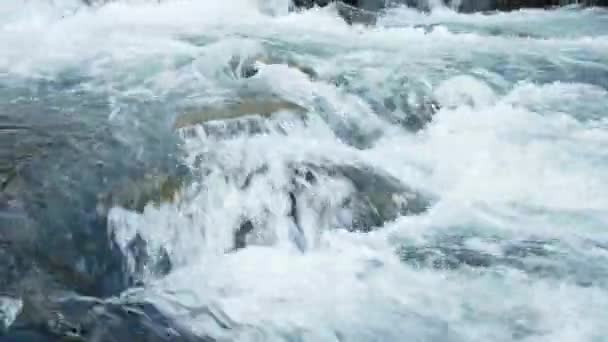 Reines Wasser Fließt Durch Steinbrocken Das Wasser Des Wilden Gebirgsflusses — Stockvideo
