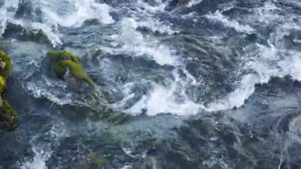 Corriente Agua Pura Corriendo Través Rocas Piedra Wild Mountain River — Vídeos de Stock