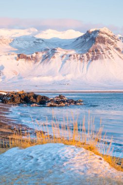 Sunrise over stunning mountain landscape in Iceland, Ocean coast with volcanic rocks and yellow grass, Pure nature at winter season. High quality photo