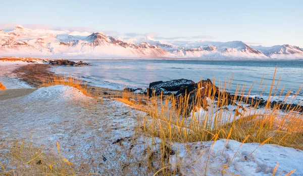 Sunrise over stunning mountain landscape in Iceland, Ocean coast with volcanic rocks and yellow grass, Pure nature at winter season. High quality photo