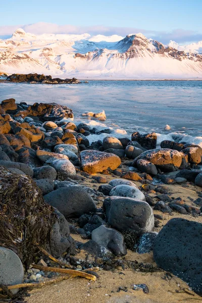 Sunrise over stunning mountain landscape in Iceland, Ocean coast with volcanic rocks and yellow grass, Pure nature at winter season. High quality photo