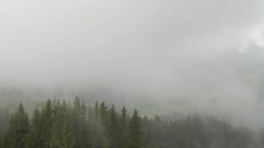 Rainy weather in mountains, Clouds blowing over pine tree forest in time lapse, Spruce forest trees on the mountain hills at misty day. High quality 4k footage