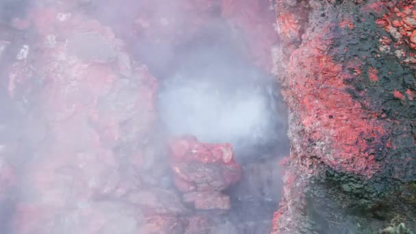 Geotermální Oblast Islandu Přírodní Horké Prameny Ohromující Vařící Čistá Voda — Stock video