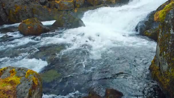 Wasserfall Island Gebirgsfluss Zur Herbstzeit Wunderschöne Natur Vulkanlandschaft Berühmtes Touristenziel — Stockvideo
