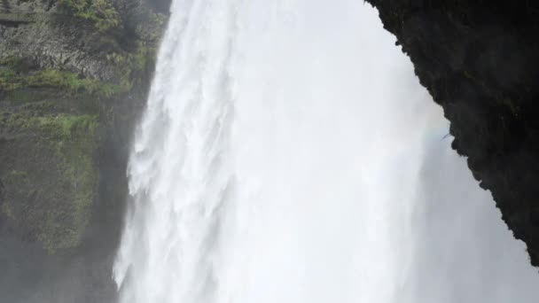 Skogafoss Wasserfall Island Wasser Fließt Durch Klippen Berühmte Attraktion Riesiger — Stockvideo