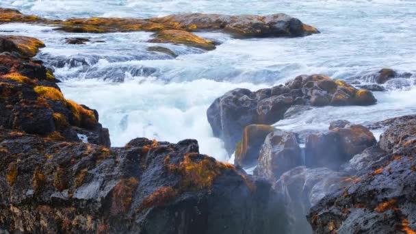 Wasserfall Island Reines Gletscherwasser Fließt Durch Hohe Klippen Riesiger Wasserlauf — Stockvideo