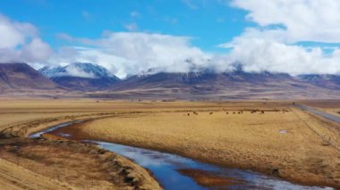 İzlanda kırsalının manzarası. Sonbaharda sarı çimenli dağlar. Dağda bulutlu mavi gökyüzü. Kırsal hava manzarası. Yüksek kalite 4k görüntü