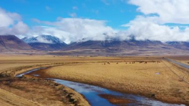 İzlanda kırsalının manzarası. Sonbaharda sarı çimenli dağlar. Dağda bulutlu mavi gökyüzü. Kırsal hava manzarası. Yüksek kalite 4k görüntü