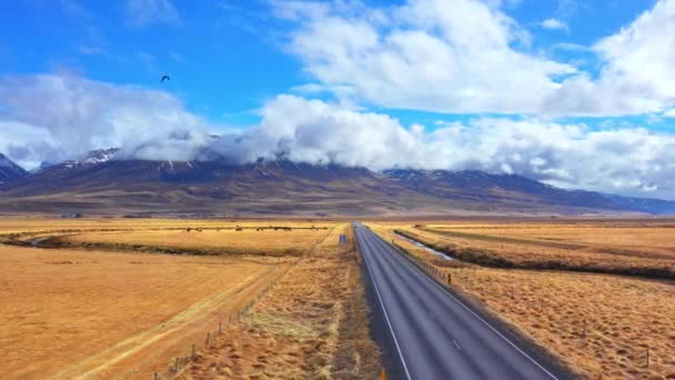 Campo Islandês Cénico Montanhas Com Grama Amarela Outono Céu Azul — Vídeo de Stock