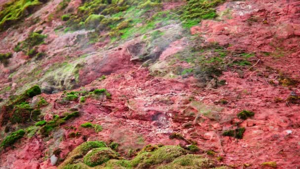 Zona Geotermica Islanda Sorgente Termale Naturale Splendida Acqua Bollente Limpida — Video Stock