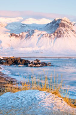 Sunrise over stunning mountain landscape in Iceland, Ocean coast with volcanic rocks and yellow grass, Pure nature at winter season. High quality photo