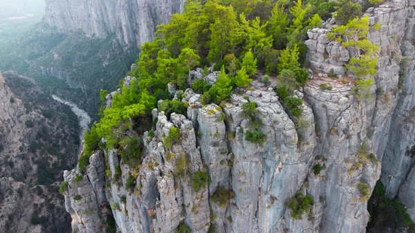 Yazın ormanlı uçurumlar. Türkiye 'de güzel bir doğa mucizesi. Ulusal park alanı. Saf, el değmemiş doğa. Dağların tepesinde yoğun bir orman var. Yüksek kalite fotoğraf