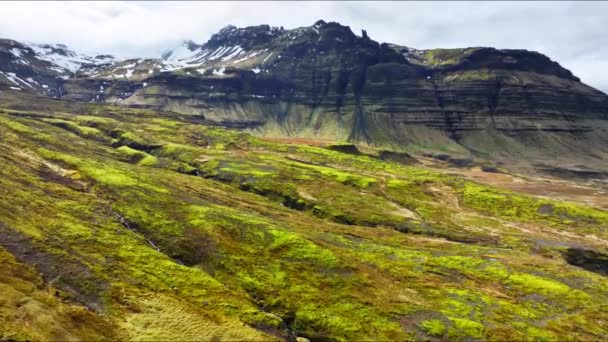 Paysage Volcanique Insolite Avec Rivière Champ Montagne Volcanique Couvert Mousse — Video