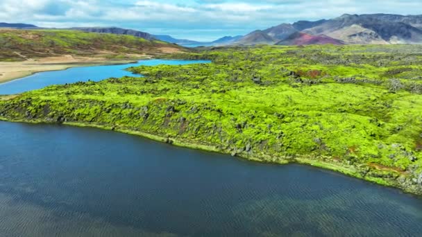 拥有河流的罕见的火山景观 早春覆盖着绿色苔藓的火山山脉 冰岛纯净的自然 史诗般的空中景观 — 图库视频影像