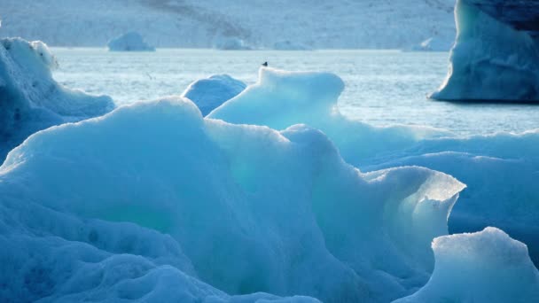青い氷山が海に浮かぶ 純粋な氷が溶けている ジョクルサロン氷河ラグーン — ストック動画