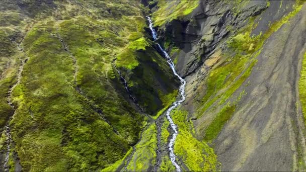 Zlanda Daki Manzaralı Dağlık Arazi Nehir Volkanik Dağların Içinden Akar — Stok video