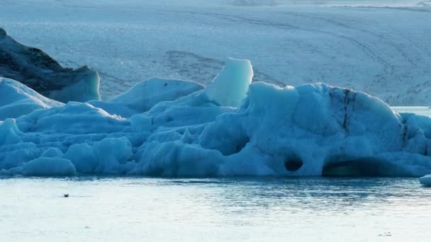 Blue Icebergs Breakaway Från Glacier Pure Nature Island Crystal Clear — Stockvideo