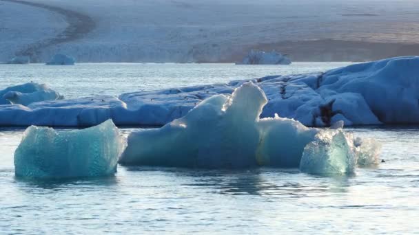 Pure Blue Ice Arctic Icebergs Breakaway Glacier Iceland Crystal Clear — 图库视频影像