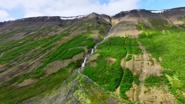 Río Montaña Fluye Por Acantilado Escarpado Muchas Cascadas Rodeadas Arbustos — Vídeo de stock