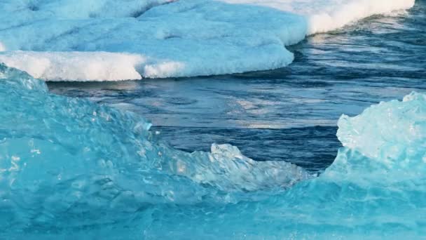 Blue Icebergs Breakaway Från Glacier Pure Nature Island Crystal Clear — Stockvideo