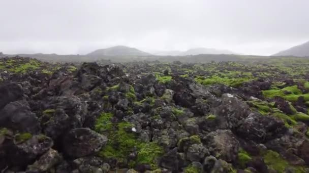 冰岛的熔岩地覆盖着绿色苔藓 风景国家公园区域 新鲜的绿色夏季火山场 异乎寻常的抽象景观空中景观4K 高质量的4K镜头 — 图库视频影像