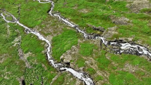 Fiume Scorre Attraverso Montagne Nella Stagione Estiva Cascate Sulle Colline — Video Stock