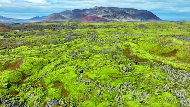Campos Lava Cubiertos Musgo Verde Islandia Área Del Parque Nacional — Vídeo de stock