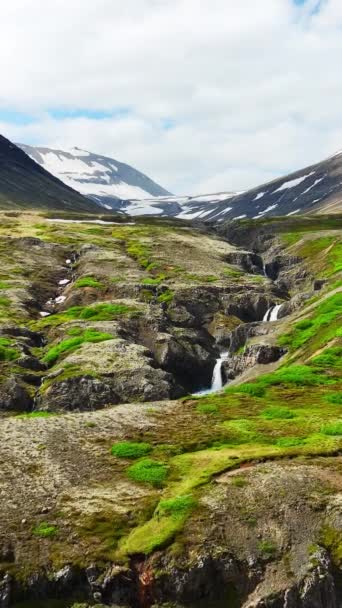 스크린 아이슬란드의 다채로운 잔디와 협곡의 비디오 미디어 목적지 — 비디오