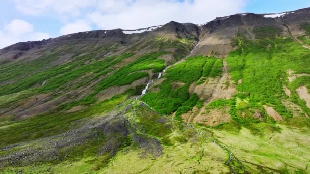 수풀과 이끼로 둘러싸인 언덕에서 흐르고 있습니다 아이슬란드의 다채로운 서사시 — 비디오