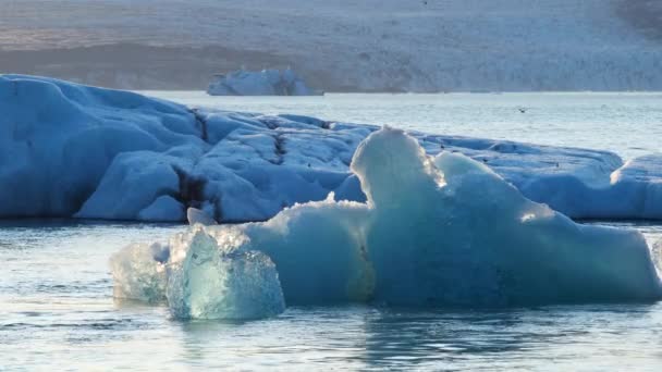 蓝色的冰山漂浮在咸咸的海水中 冰岛的Jokulsarlon冰川泻湖 冰川融化后形成的纯蓝色冰 受欢迎的旅游胜地 以8K分辨率射击 — 图库视频影像