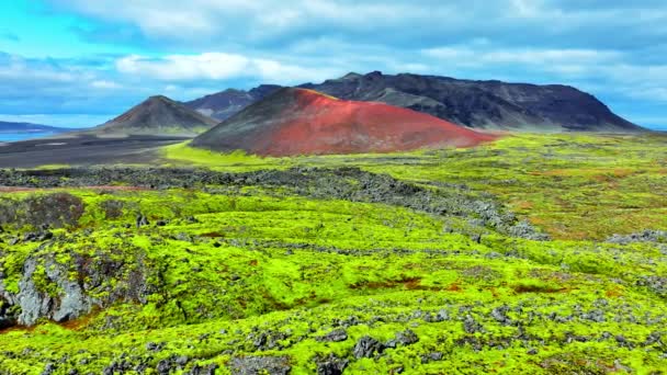 Lavafelder Mit Grünem Moos Island Landschaftlich Reizvolles Nationalparkgebiet Frisch Grüner — Stockvideo