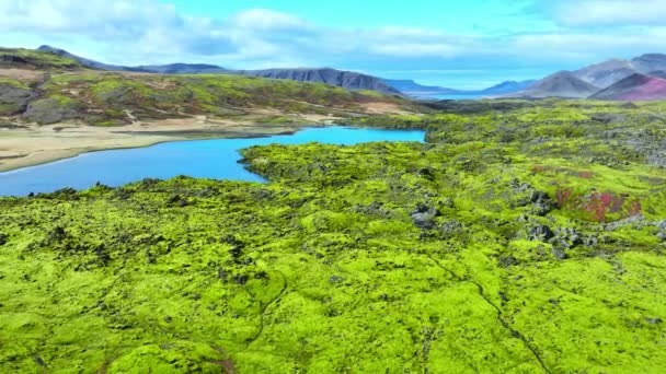 Ungewöhnliche Vulkanlandschaft Mit Fluss Vulkanisches Bergfeld Zeitigen Frühling Mit Grünem — Stockvideo